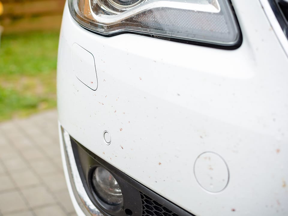 L’elimina resina The Care rimuove efficacemente sporco e residui dall’auto