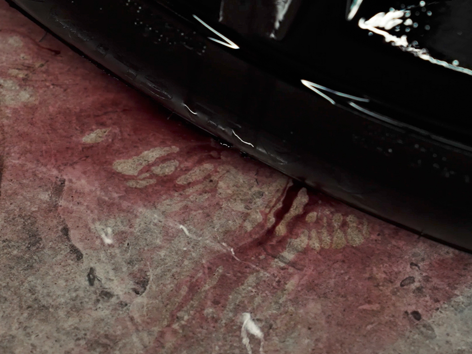 The Care | Decontaminante per Ferodo The Care | Decontaminante per Ferodo