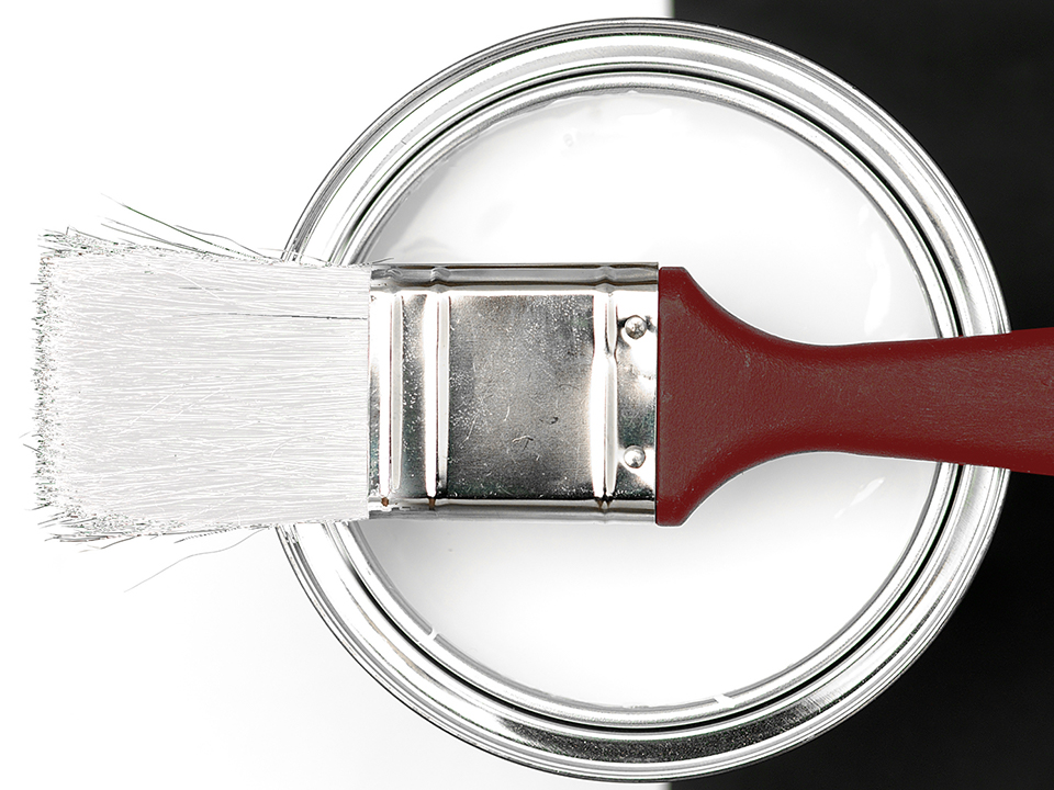 The Care | Sealant Brush