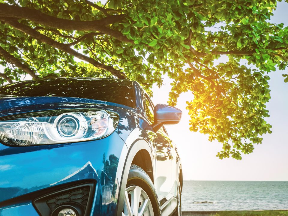 Auto parcheggiata sotto gli alberi: come rimuovere sporco ostinato